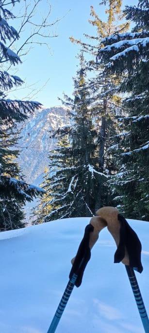 Bel Appart Pour 4/6 Pers Plein Sud Sans Vis A Vis Chamrousse Exterior foto