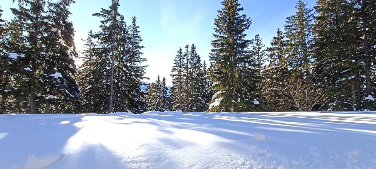 Bel Appart Pour 4/6 Pers Plein Sud Sans Vis A Vis Chamrousse Exterior foto